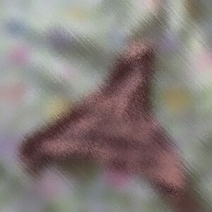 Custom Listing Well Worn